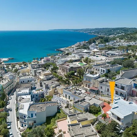 Apartman Bellavista Castro 2 *